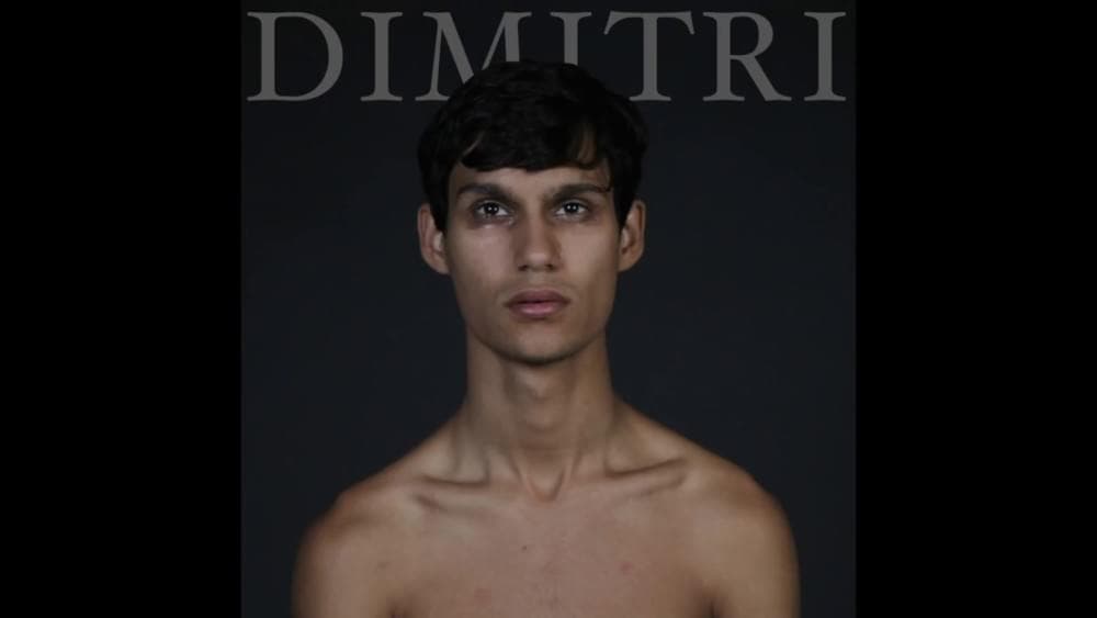 Album cover art for "Du hast gesagt" by Sedafoxx