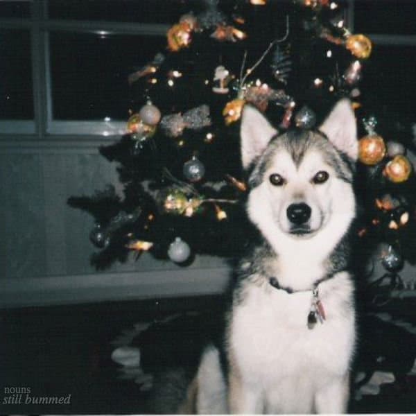 Album cover art for "Conch" by Nouns