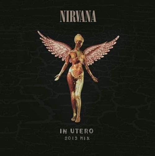 Album cover art for "All Apologies (2013 Mix)" by Nirvana