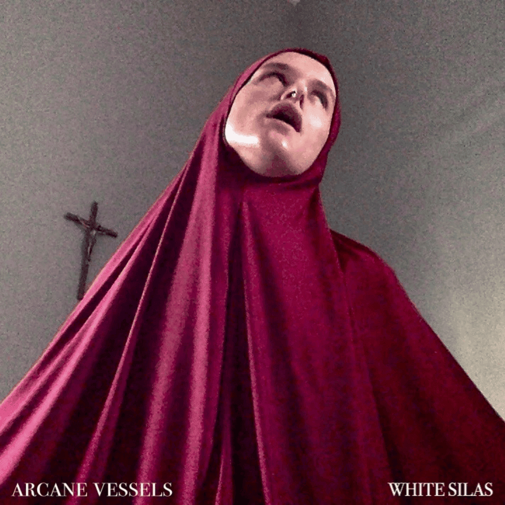 Cover image for Arcane Vessels