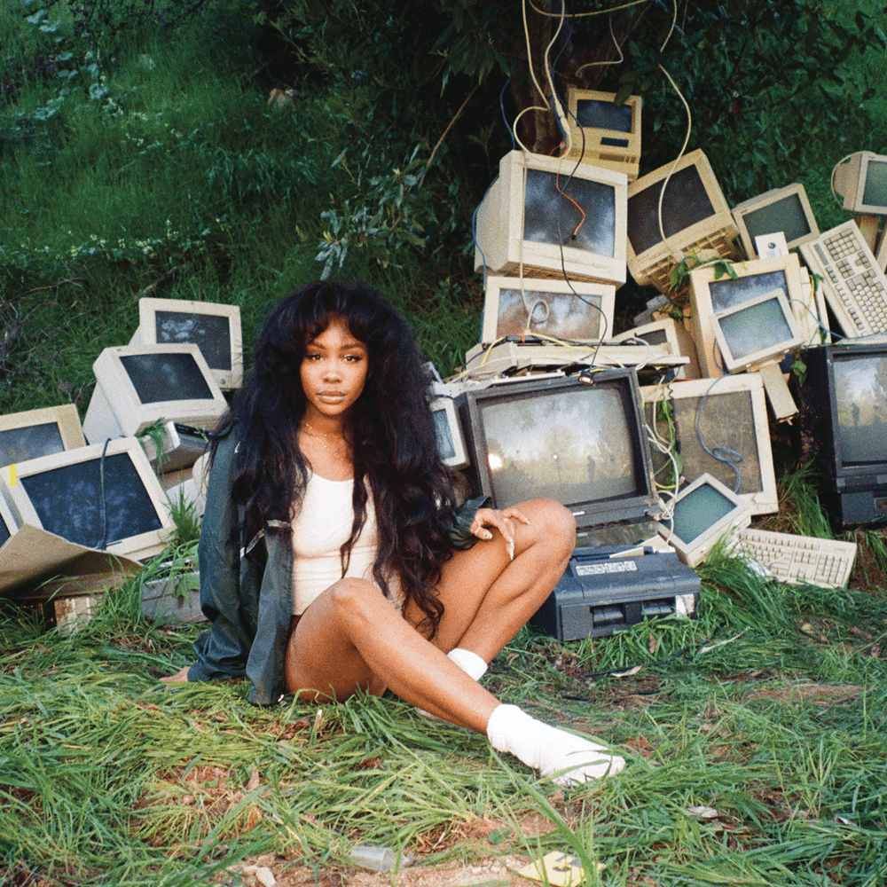Album cover art for "Supermodel" by SZA