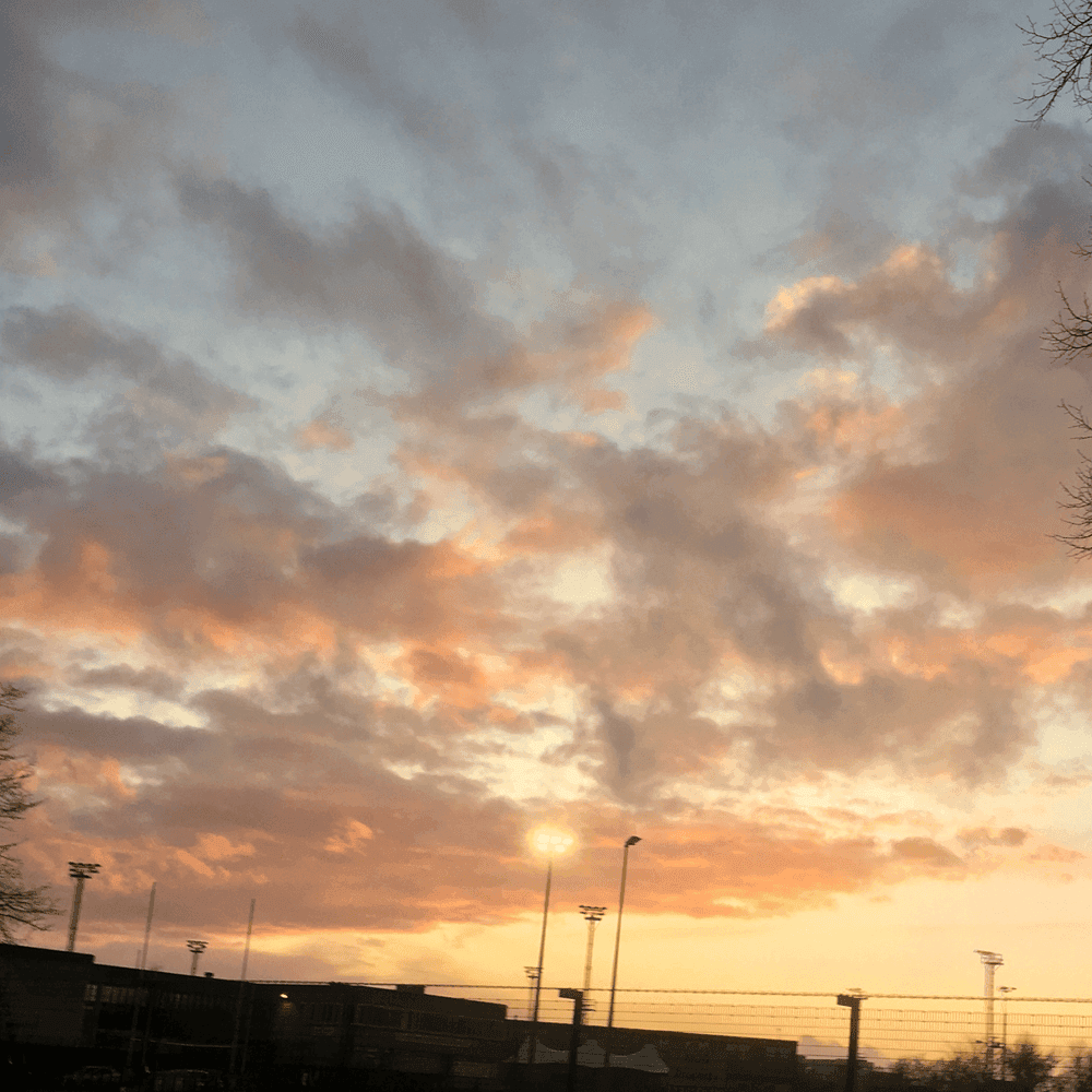 Album cover art for "Retail Therapy" by PinkPantheress & Anna Palmer & Aaliyah