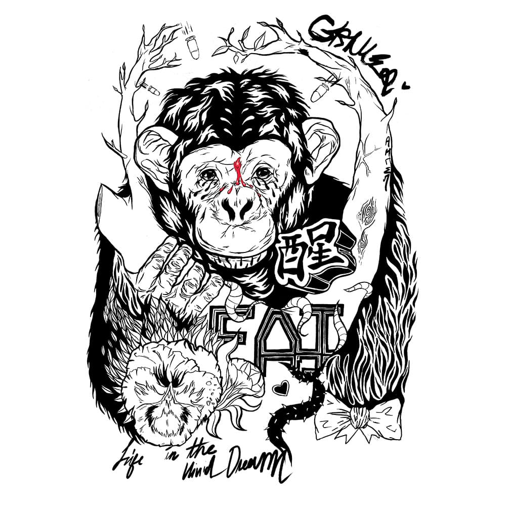 Album cover art for "Life in the Vivid Dream" by Grimes