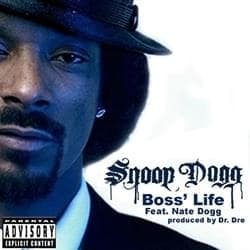 Album cover art for "Hellfire Outro" by Snoop Dogg & Akon & Julio G