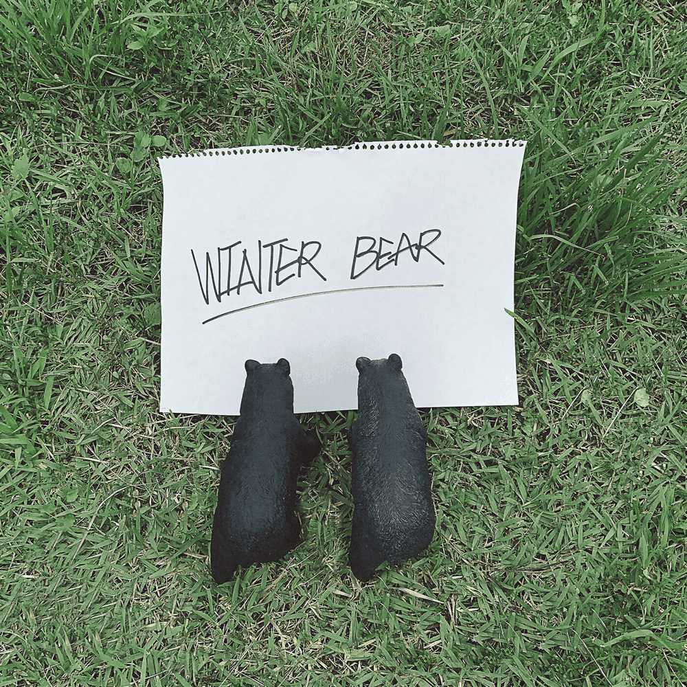 Album cover art for "Winter Bear" by BTS