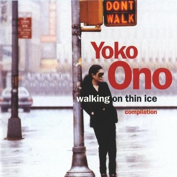 Cover image for Walking on Thin Ice