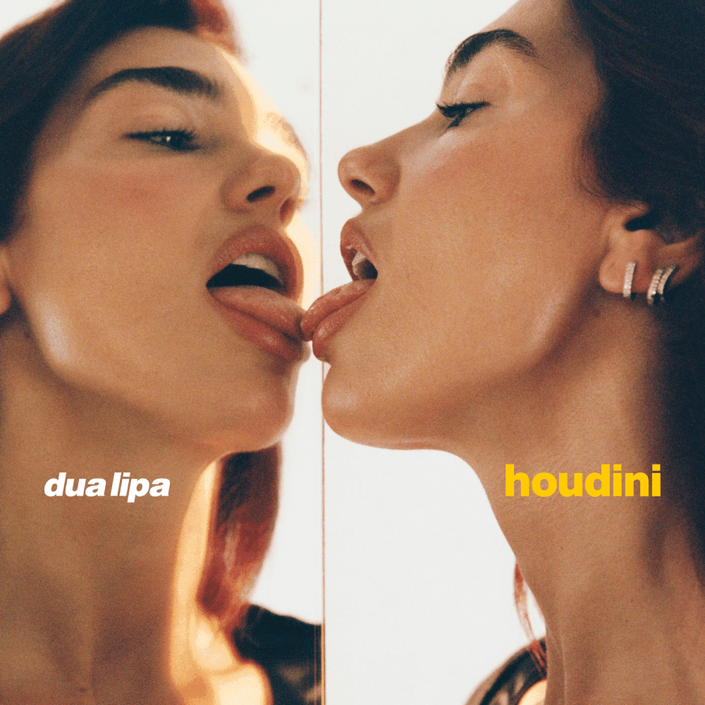 Album cover art for "Houdini" by Dua Lipa