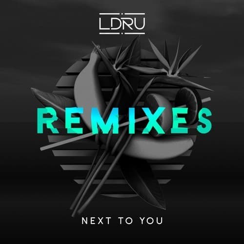 Cover image for Next To You (Remixes)