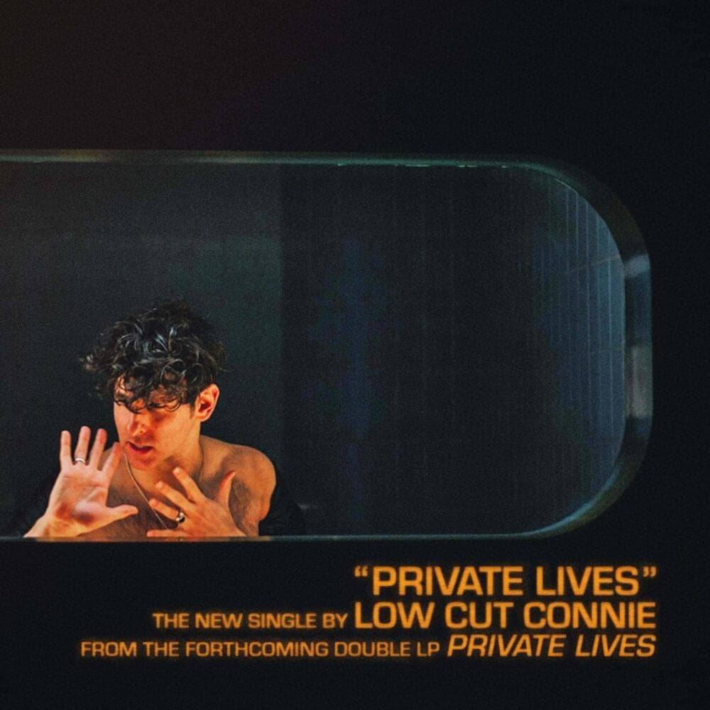Album cover art for "Private Lives" by Low Cut Connie