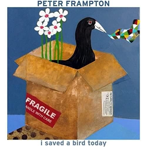 Cover image for I Saved a Bird Today