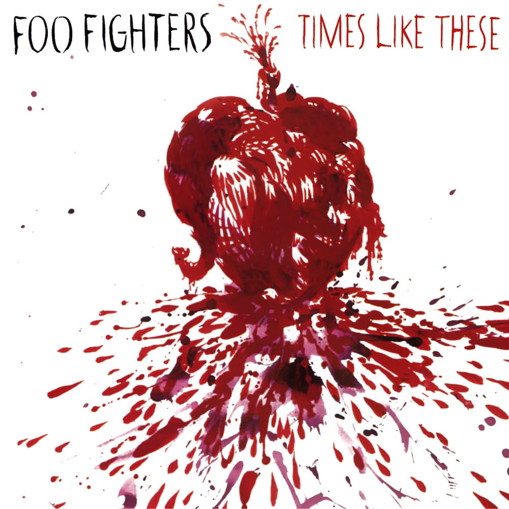 Album cover art for "Times Like These" by Foo Fighters