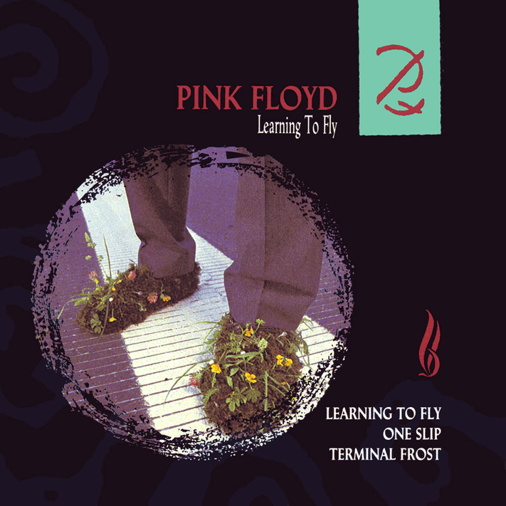 Album cover art for "Learning to Fly" by Pink Floyd