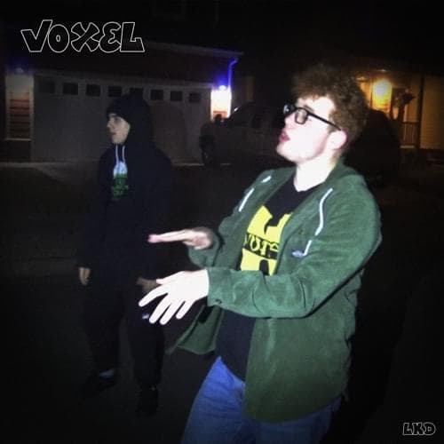 Album cover art for "VOXEL" by J Coyn Drive