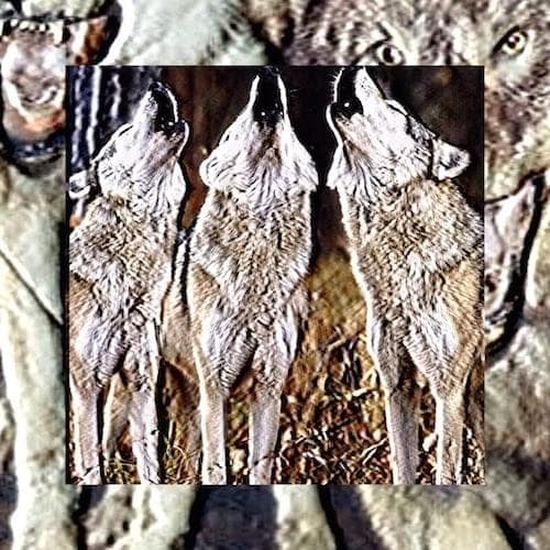 Album cover art for "Harvest Moon" by $uicideboy$