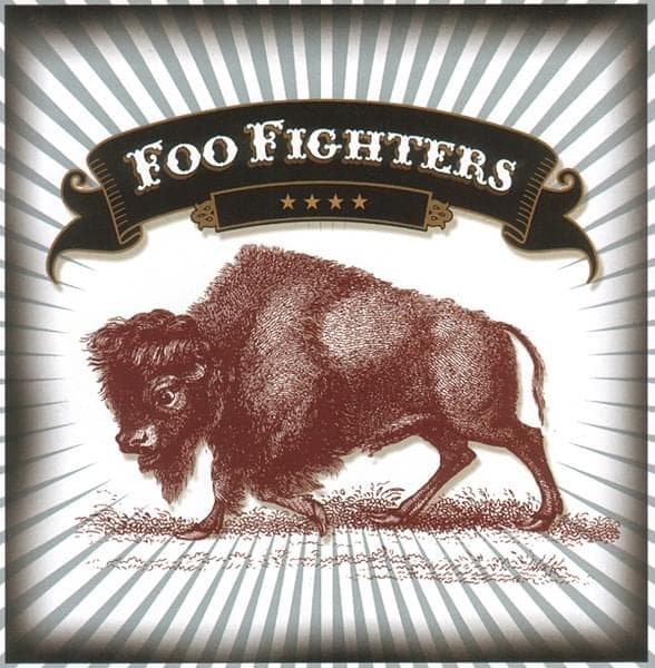 Album cover art for "Skin and Bones" by Foo Fighters