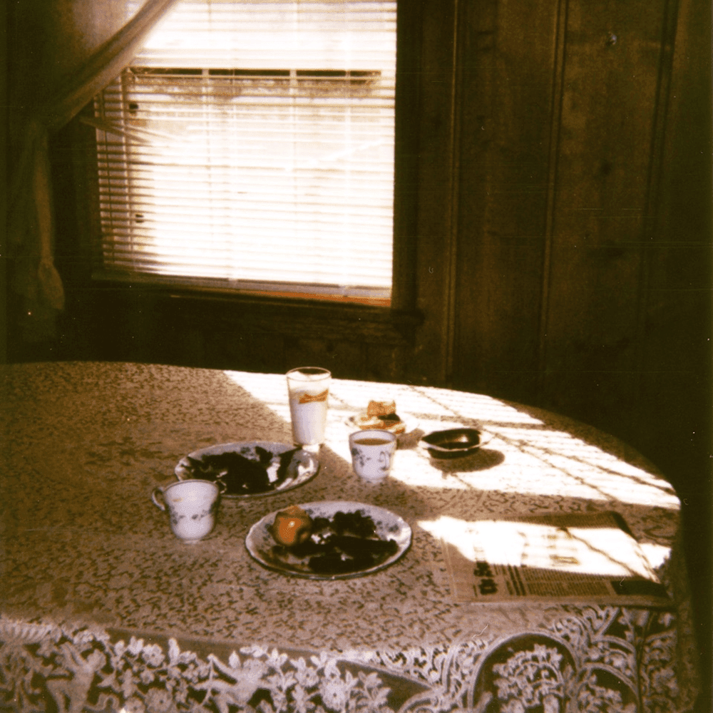 Album cover art for "Strangers" by Ethel Cain