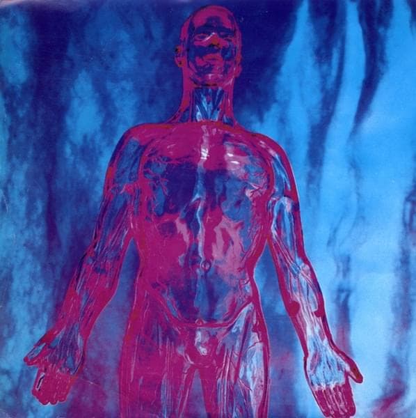 Album cover art for "Sliver" by Nirvana