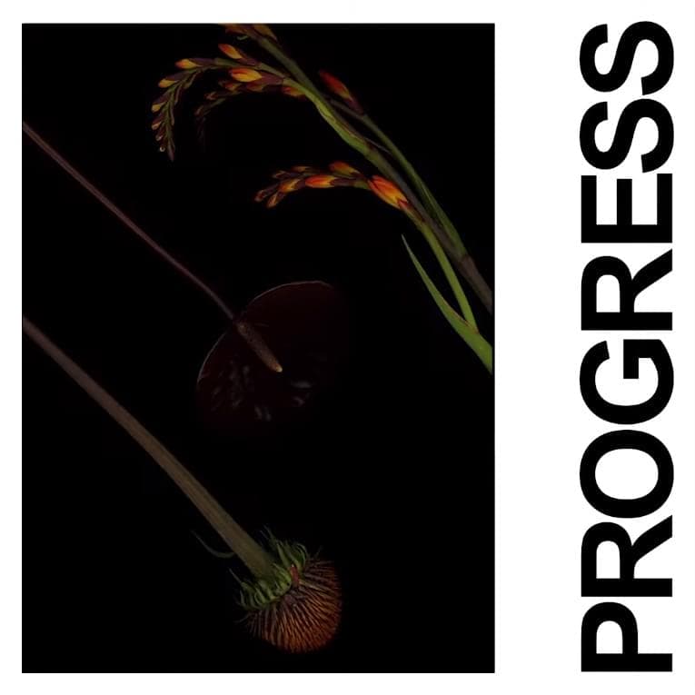 Album cover art for "Progress" by IDLES