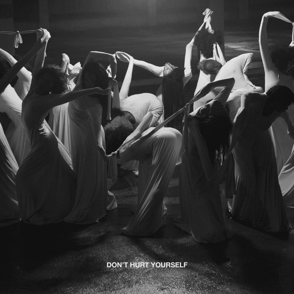 Album cover art for "Don't Hurt Yourself" by Beyoncé & Jack White