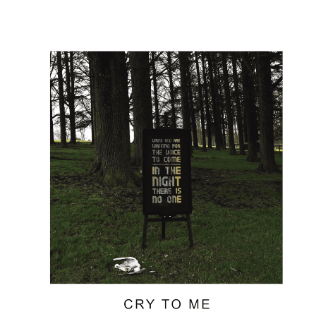 Album cover art for "Cry to Me" by IDLES