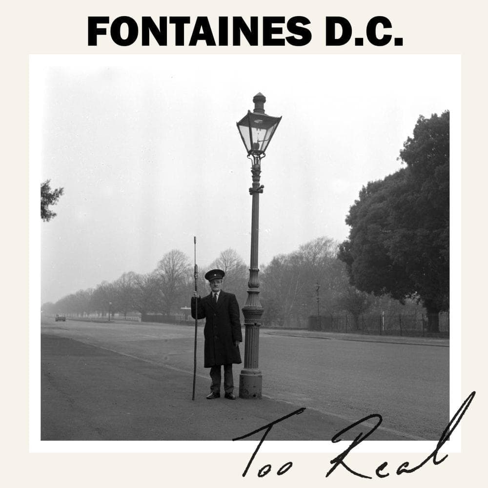 Album cover art for "Too Real" by Fontaines D.C.
