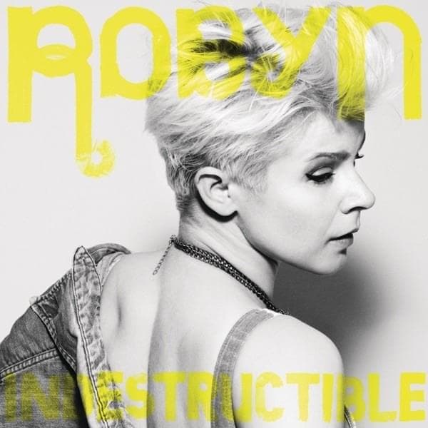 Cover image for Indestructible (Remixes)