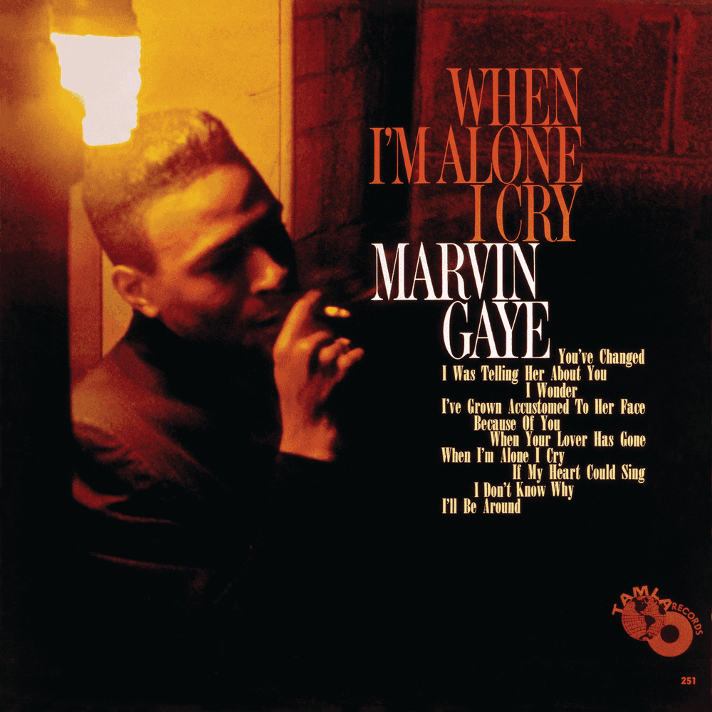 Album cover art for "I've Grown Accustomed to Her Face" by Marvin Gaye