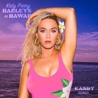 Harleys In Hawaii (Remixes) cover artwork - Click to view larger Cover image for Harleys In Hawaii (Remixes)