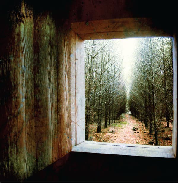 Album cover art for "For Emma" by Bon Iver