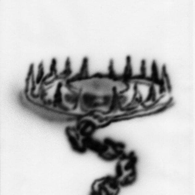 Album cover art for "Bear Trap" by MIKE