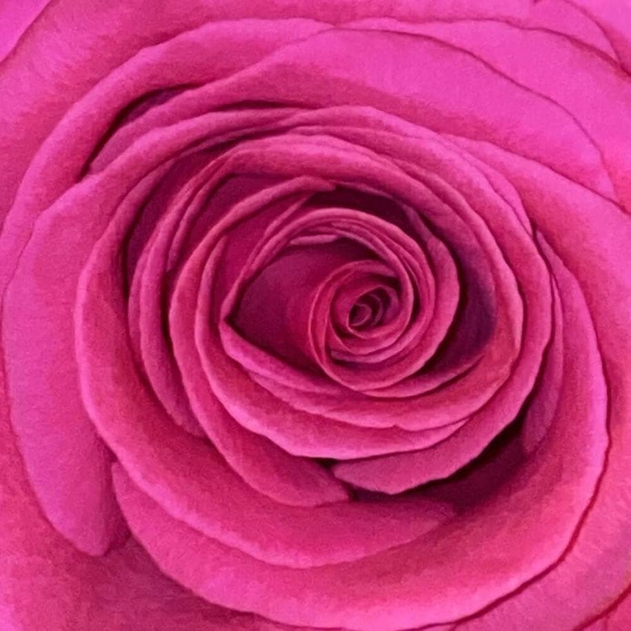 Album cover art for "Zwischen deiner und meiner Welt" by Bilderbuch