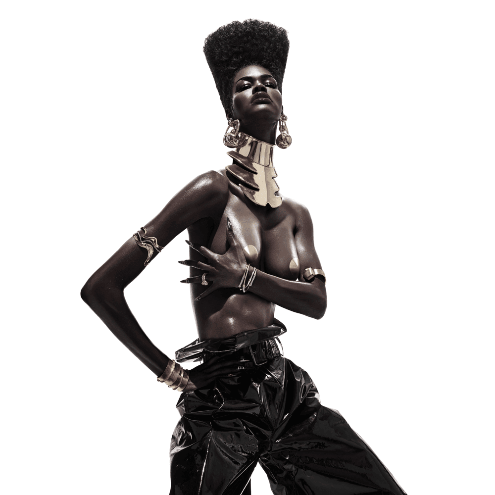 The Album cover artwork - Click to view larger Cover image for The Album