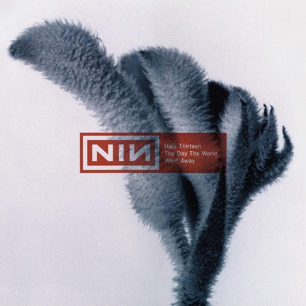 Album cover art for "The Day the World Went Away" by Nine Inch Nails
