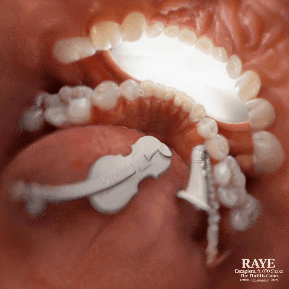 Album cover art for "The Thrill Is Gone." by RAYE