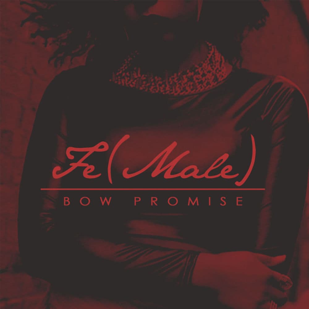 Album cover art for "Fe(Male)" by Bow Promise