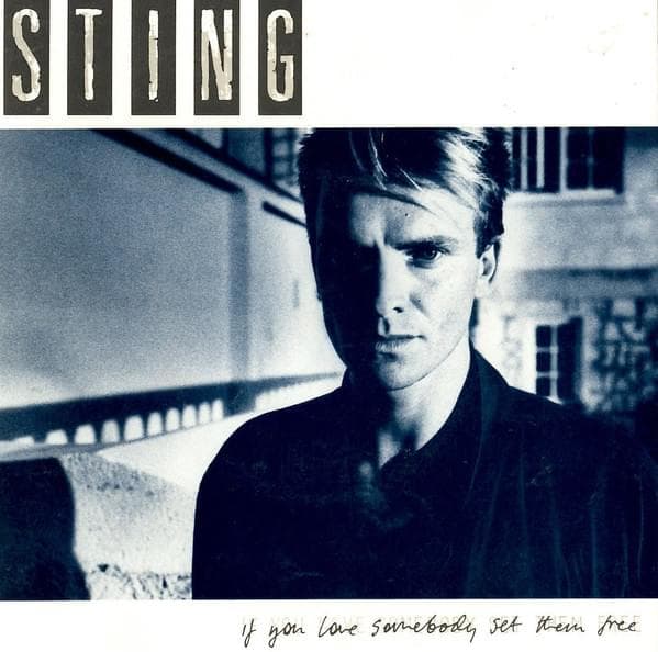 Album cover art for "If You Love Somebody Set Them Free" by Sting