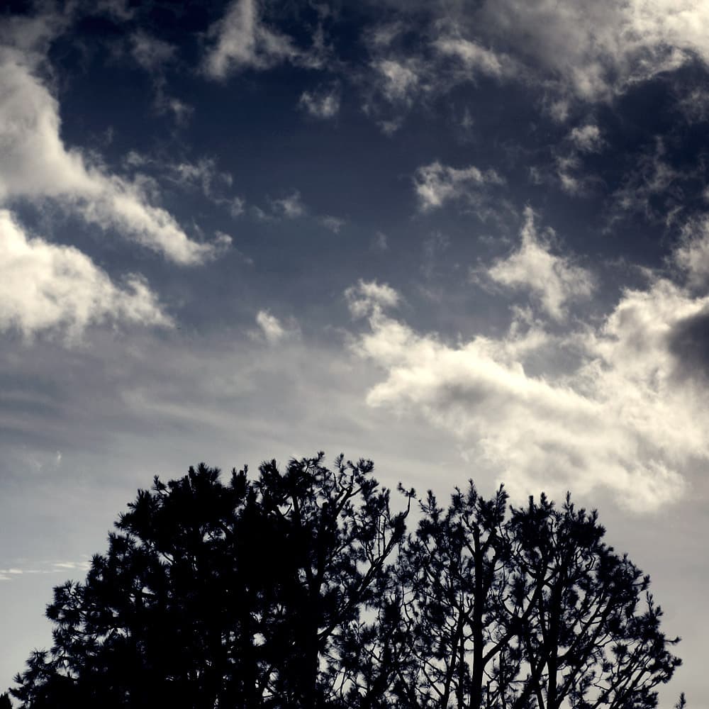 Album cover art for "1 Ghosts I" by Nine Inch Nails