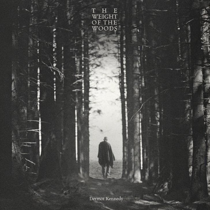 Cover image for The Weight of the Woods - The Indie Exclusive 2LP Transparent Green
