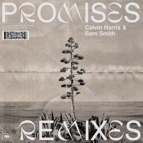 Cover image for Promises (Remixes)