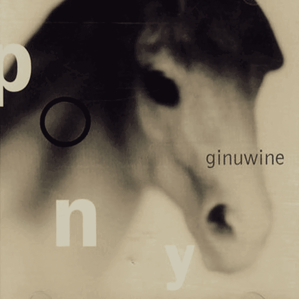 Cover image for Pony