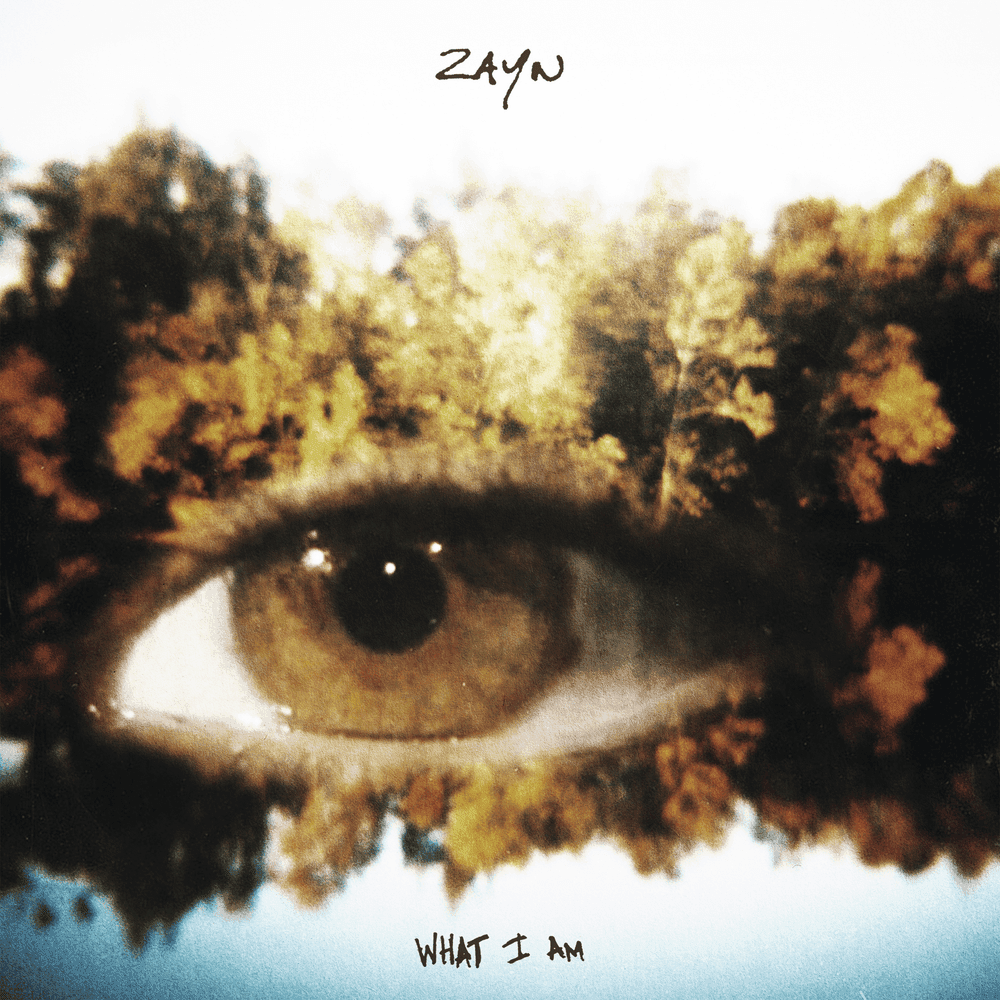 Album cover art for "What I Am" by ZAYN