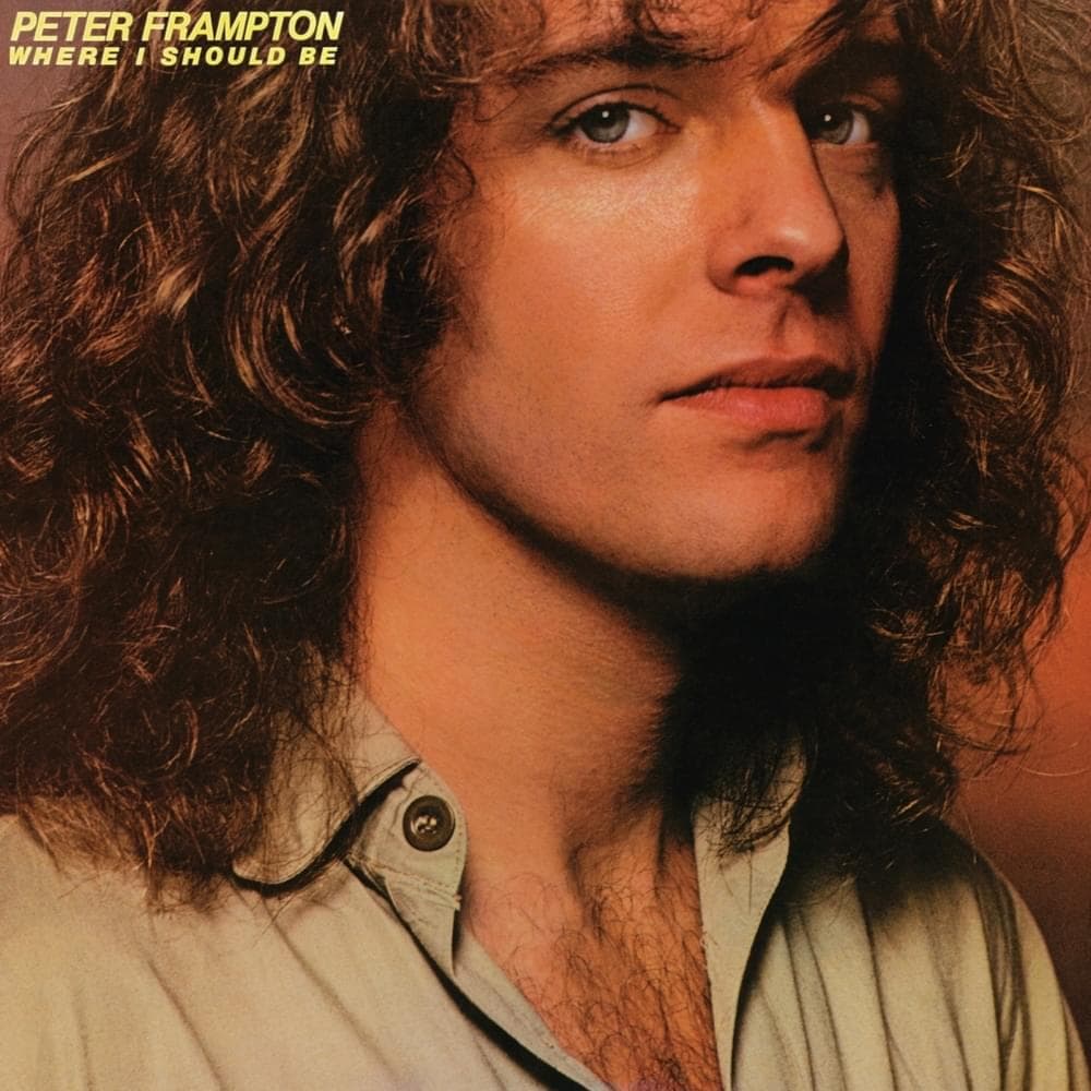 Album cover art for "I Can't Stand It No More" by Peter Frampton