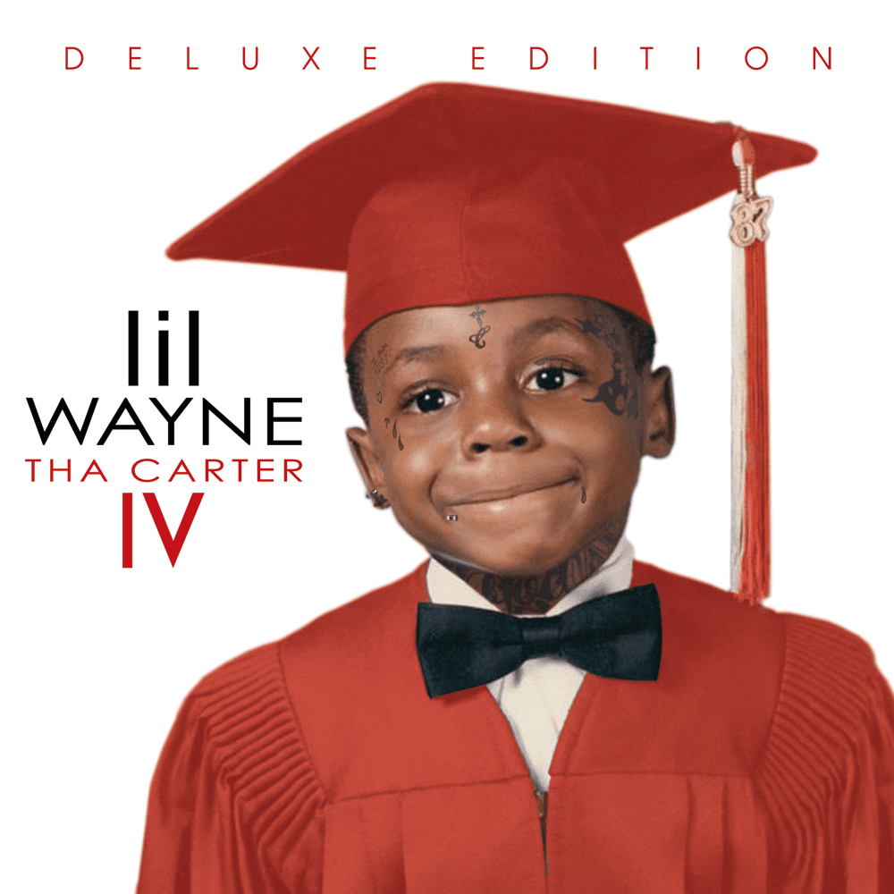 Album cover art for "I Like the View" by Lil Wayne
