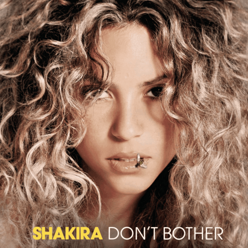 Album cover art for "Don't Bother" by Shakira