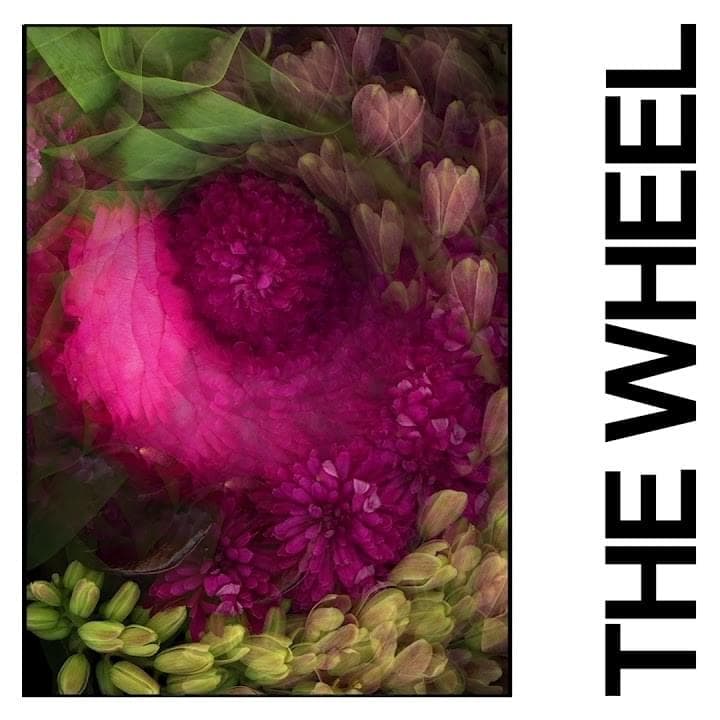 Album cover art for "The Wheel" by IDLES