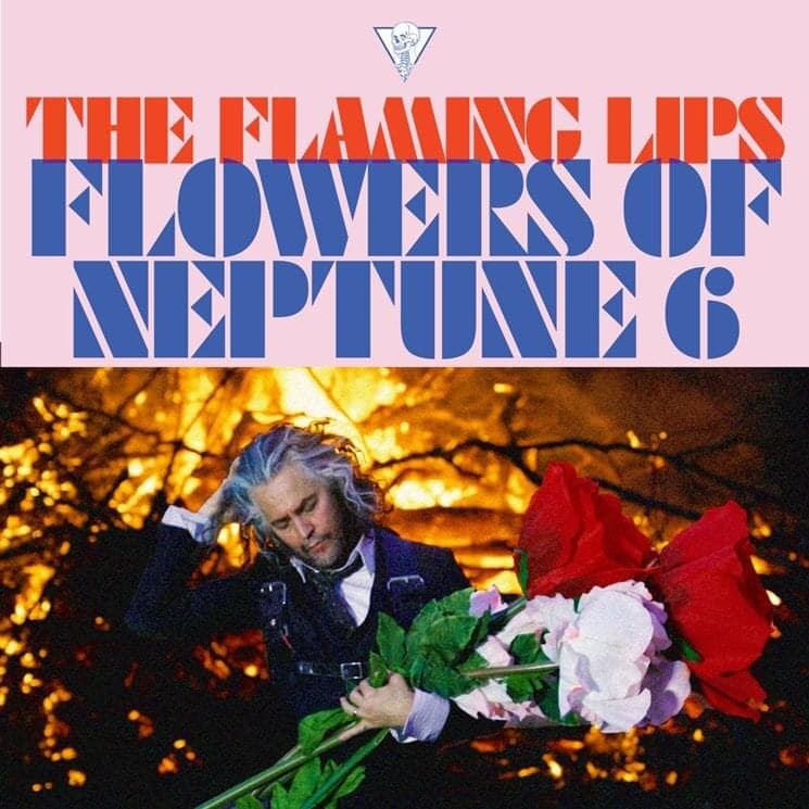 Album cover art for "Flowers of Neptune 6" by The Flaming Lips