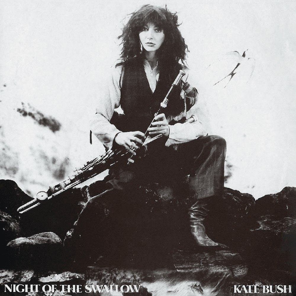 Album cover art for "Night of the Swallow" by Kate Bush