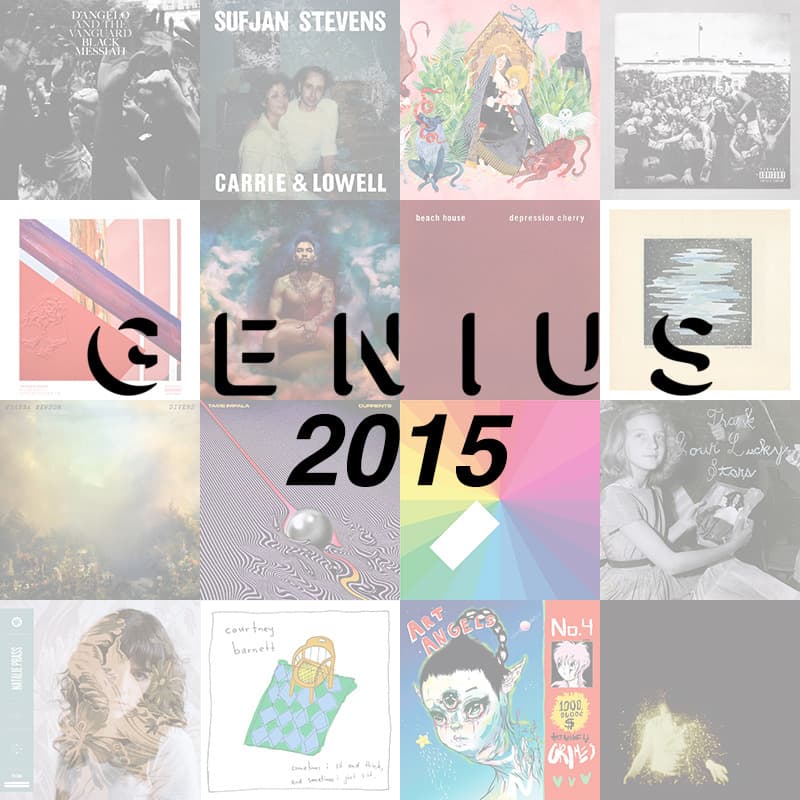 Cover image for Year End 2015