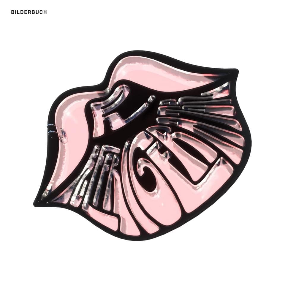 Album cover art for "Mr. Refrigerator" by Bilderbuch