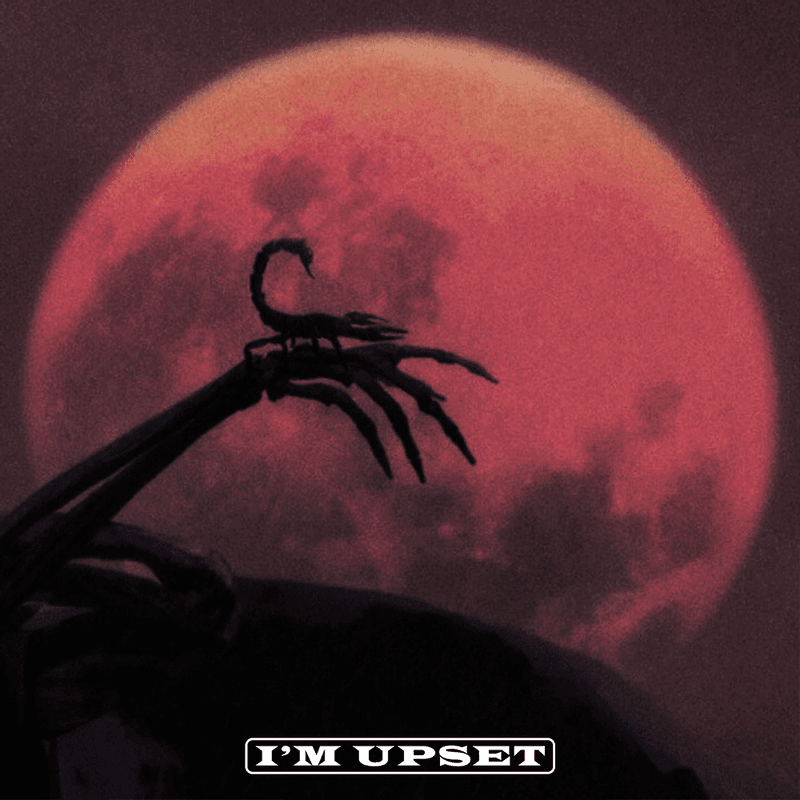Album cover art for "I'm Upset" by Drake
